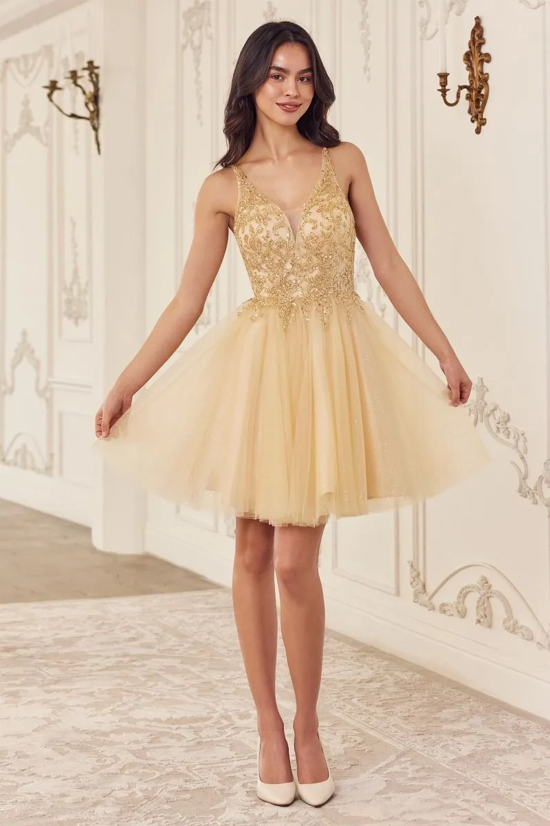 Beaded A-Line Layered Tulle Skirt Short Cocktail & Homecoming Dress CDCY022