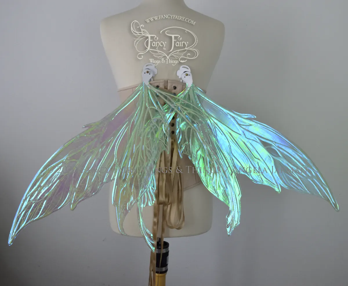 Colette Convertible Iridescent "Pix" Fairy Wings in Absinthe with white veins
