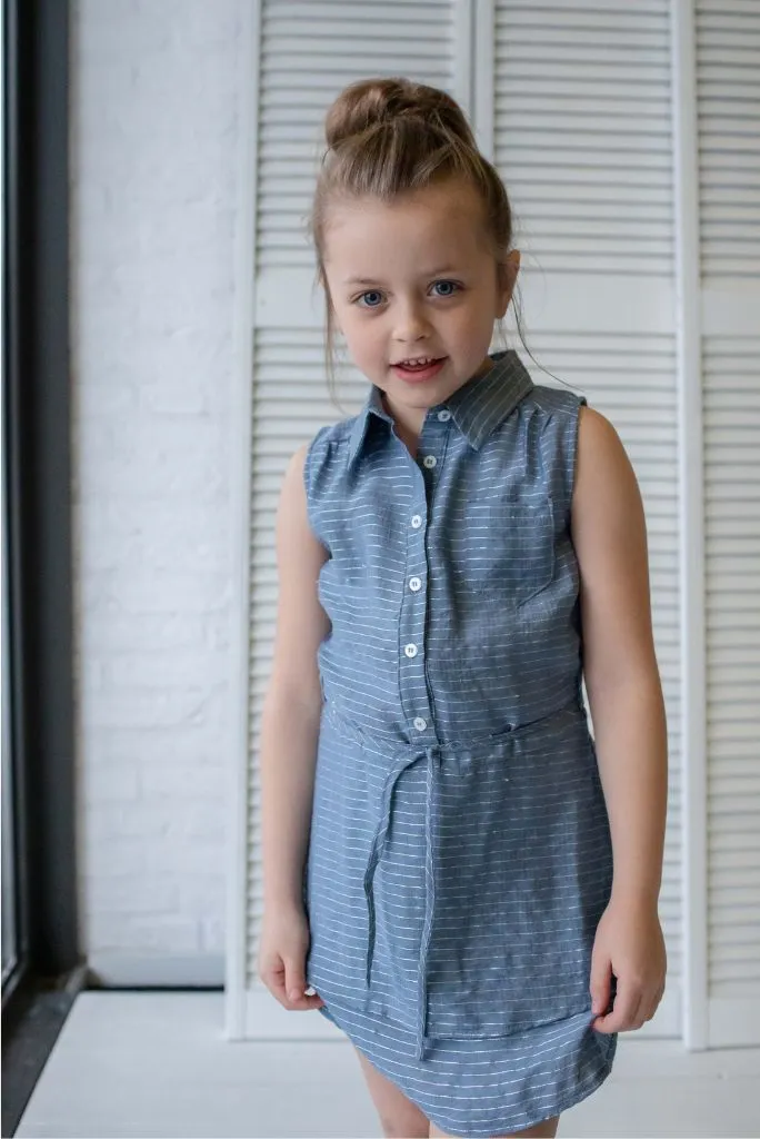 Fanya Stripe Dress