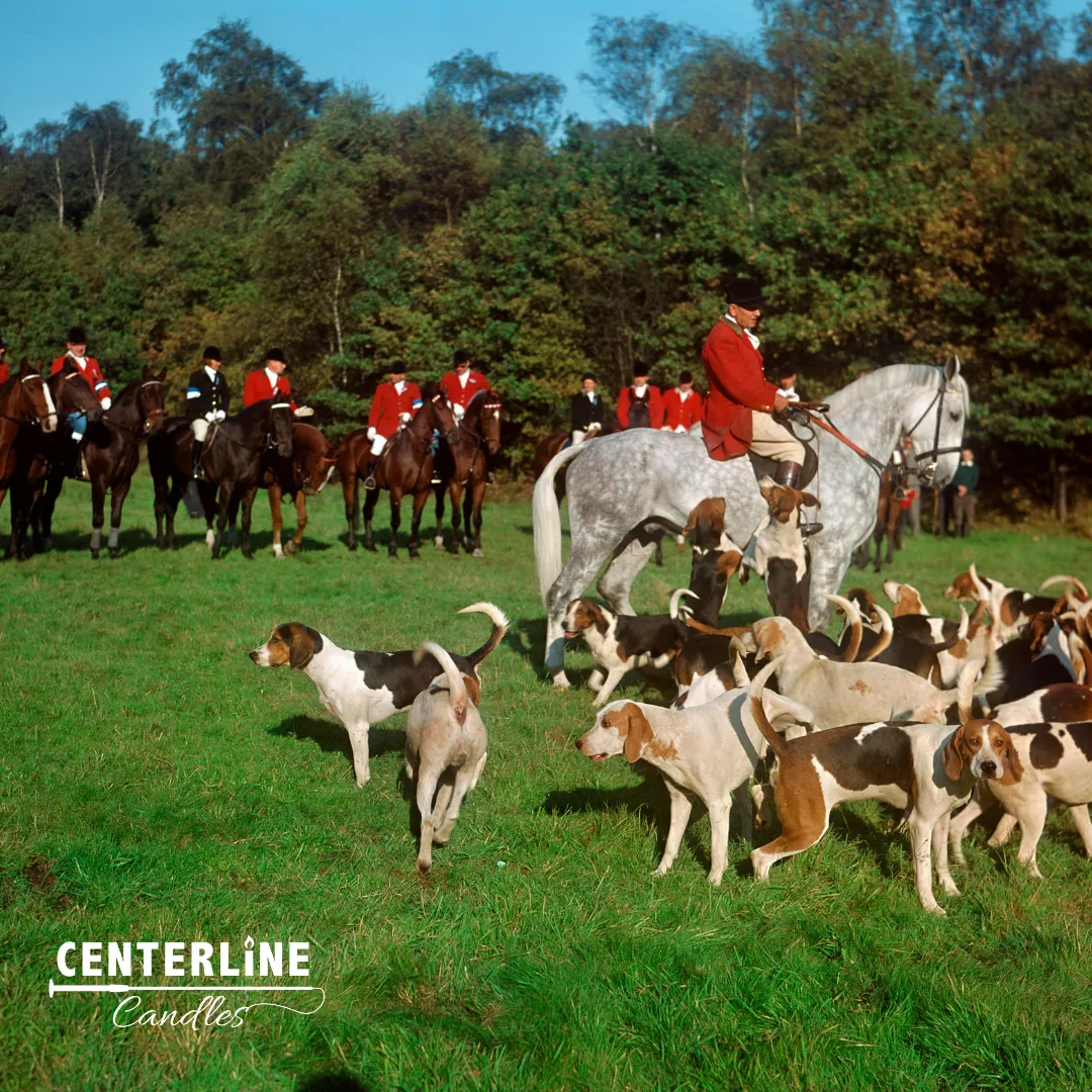 Fox Hunt
