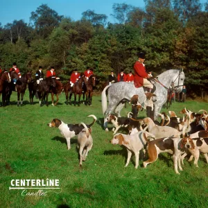 Fox Hunt