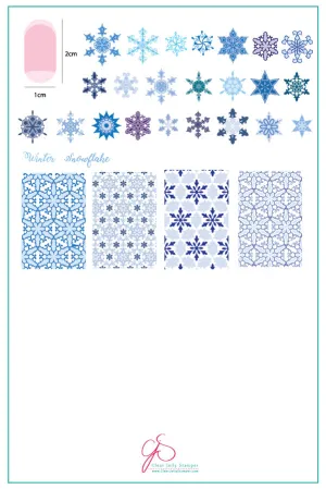 Frosted (CjS-144) Steel Layered Nail Art Stamping Plate