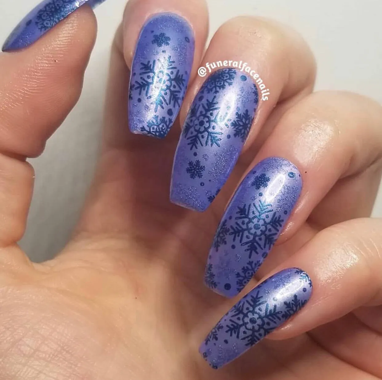 In the Frosty Air (CjSC-24) Steel Nail Art Stamping Plate