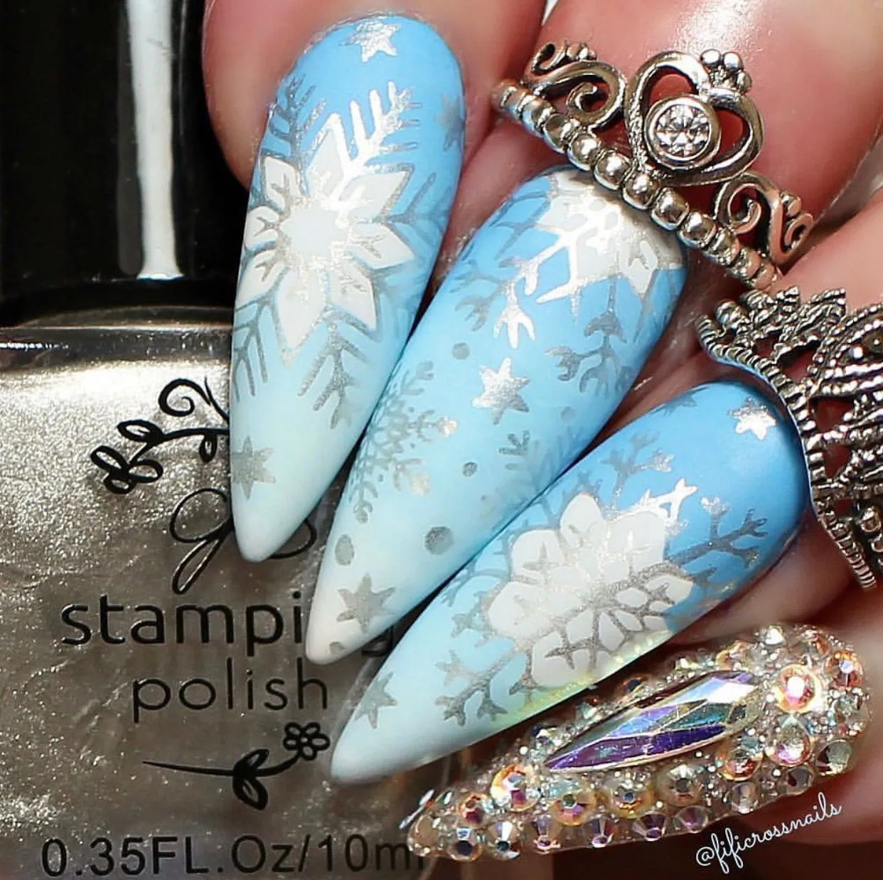 In the Frosty Air (CjSC-24) Steel Nail Art Stamping Plate