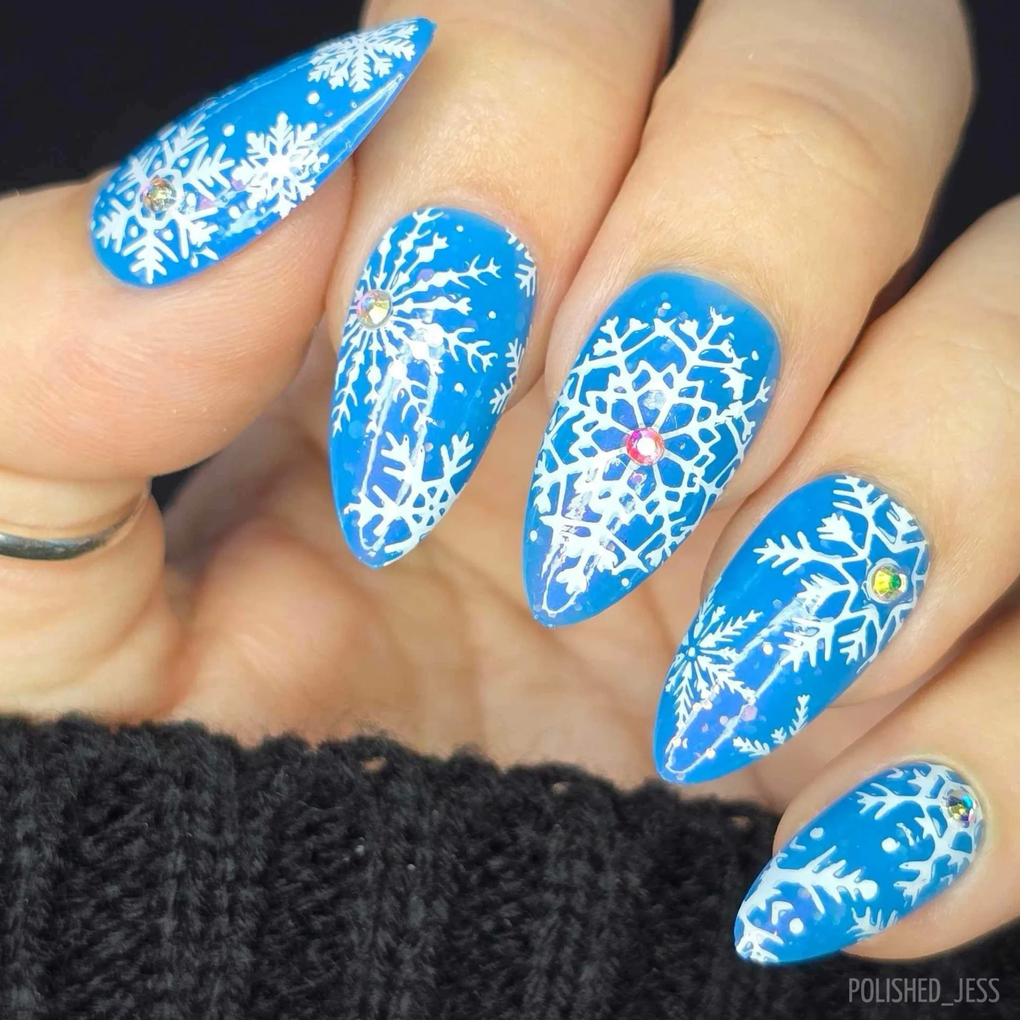 In the Frosty Air (CjSC-24) Steel Nail Art Stamping Plate