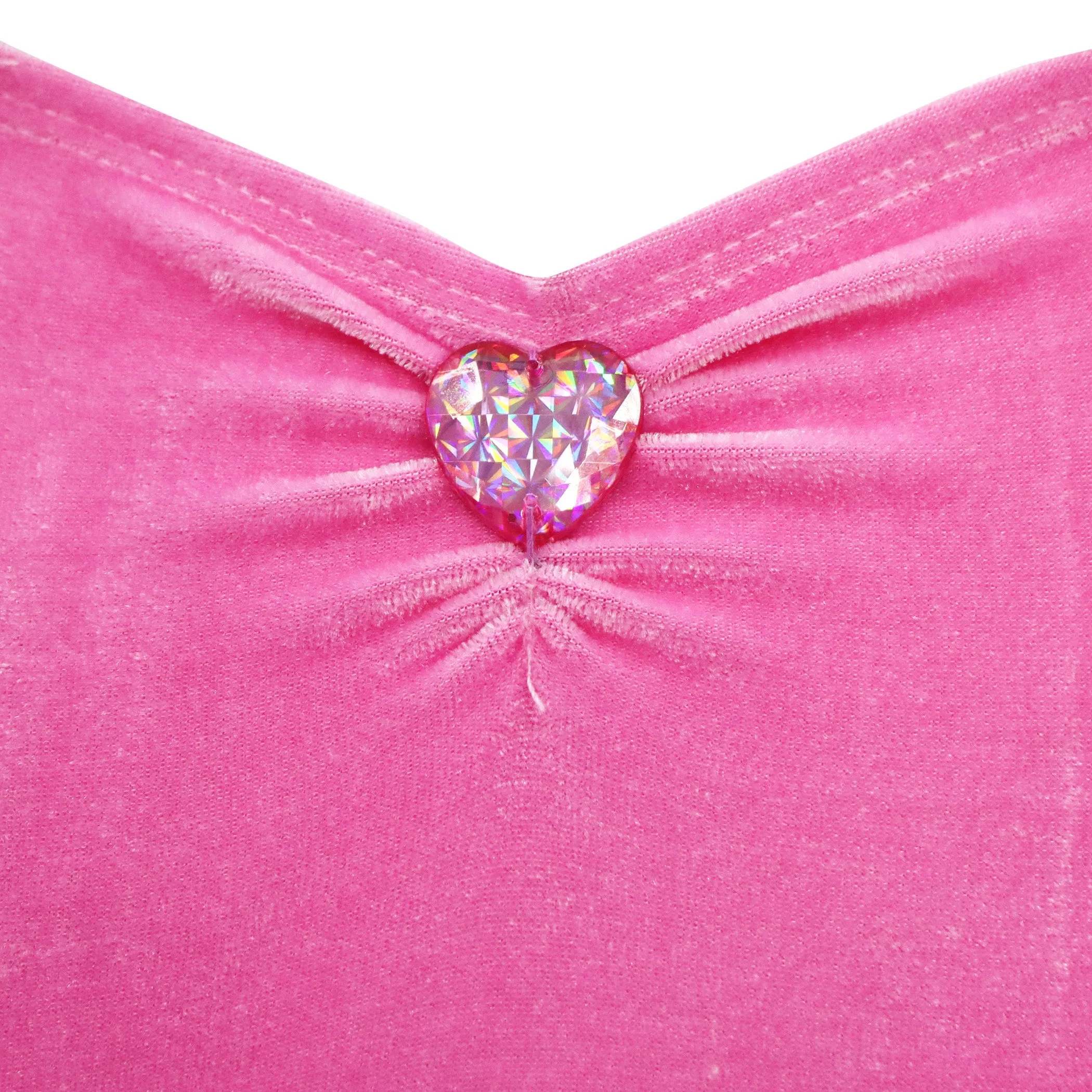 Princess Rose Velvet Dress with Ombre Tulle
